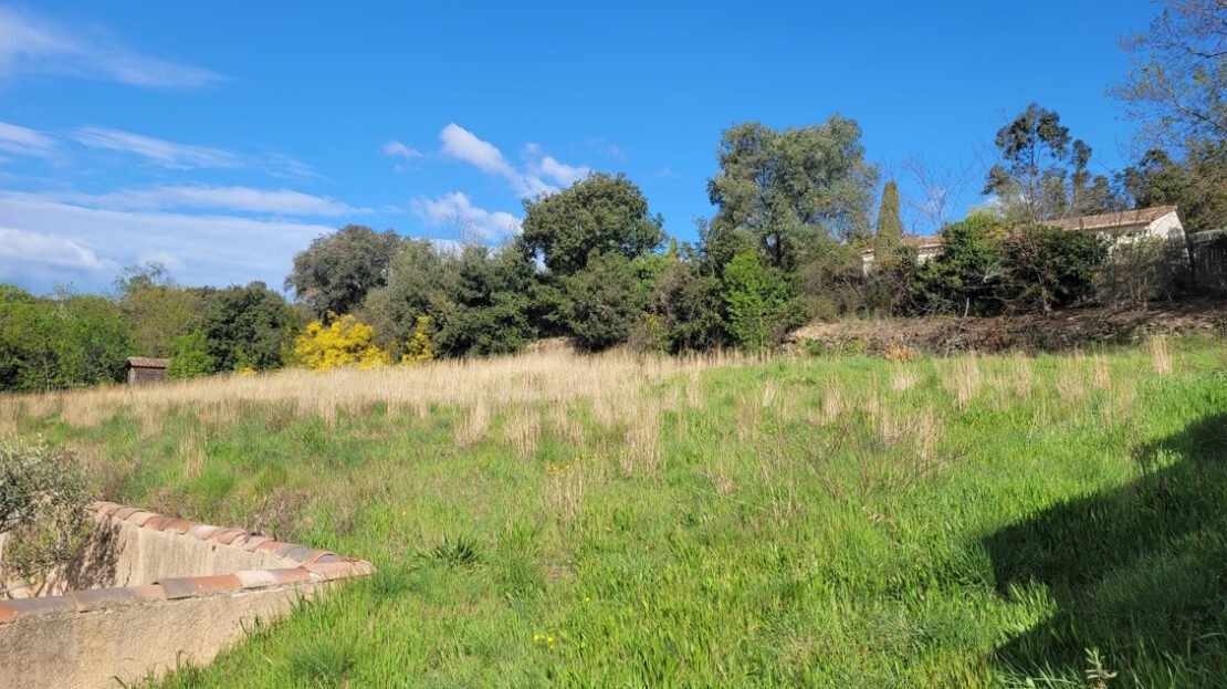 Other in Roujan, Herault, France – mr81000e