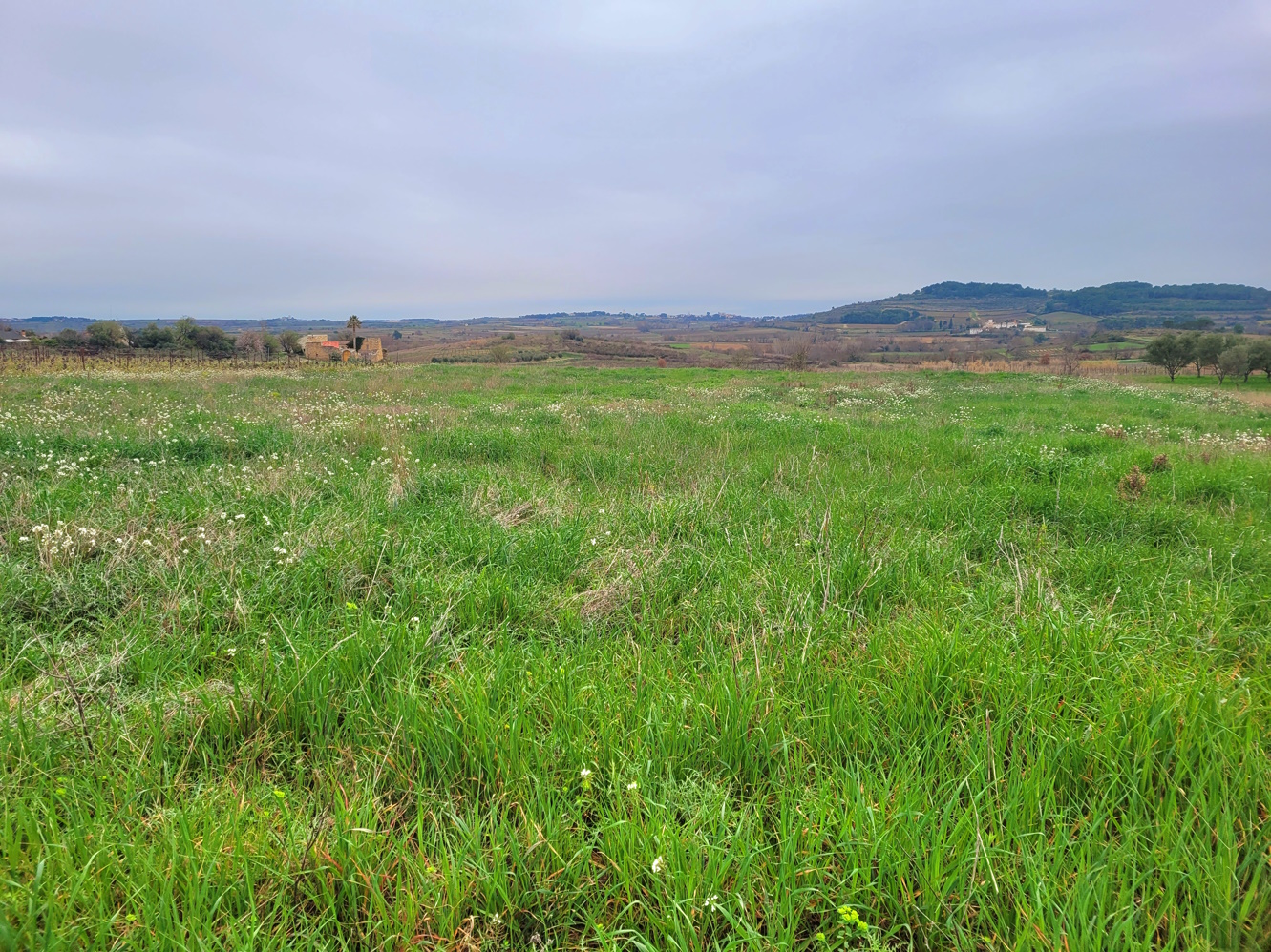 Other in Magalas, Herault, France – m137000ee