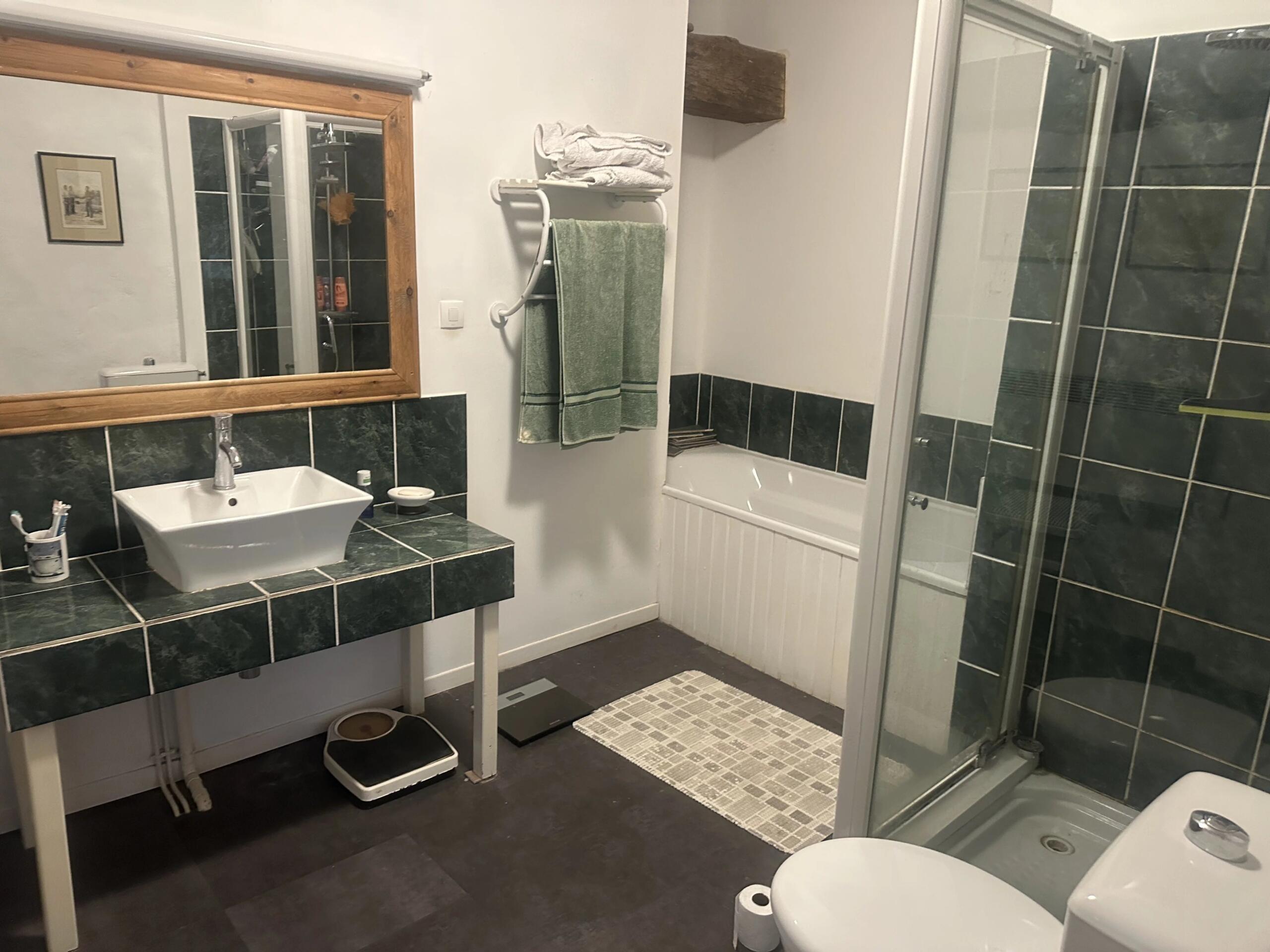 Charming 3 Bed/3 bath Stone Village Property, Poitou-Charentes – France – BVI86740