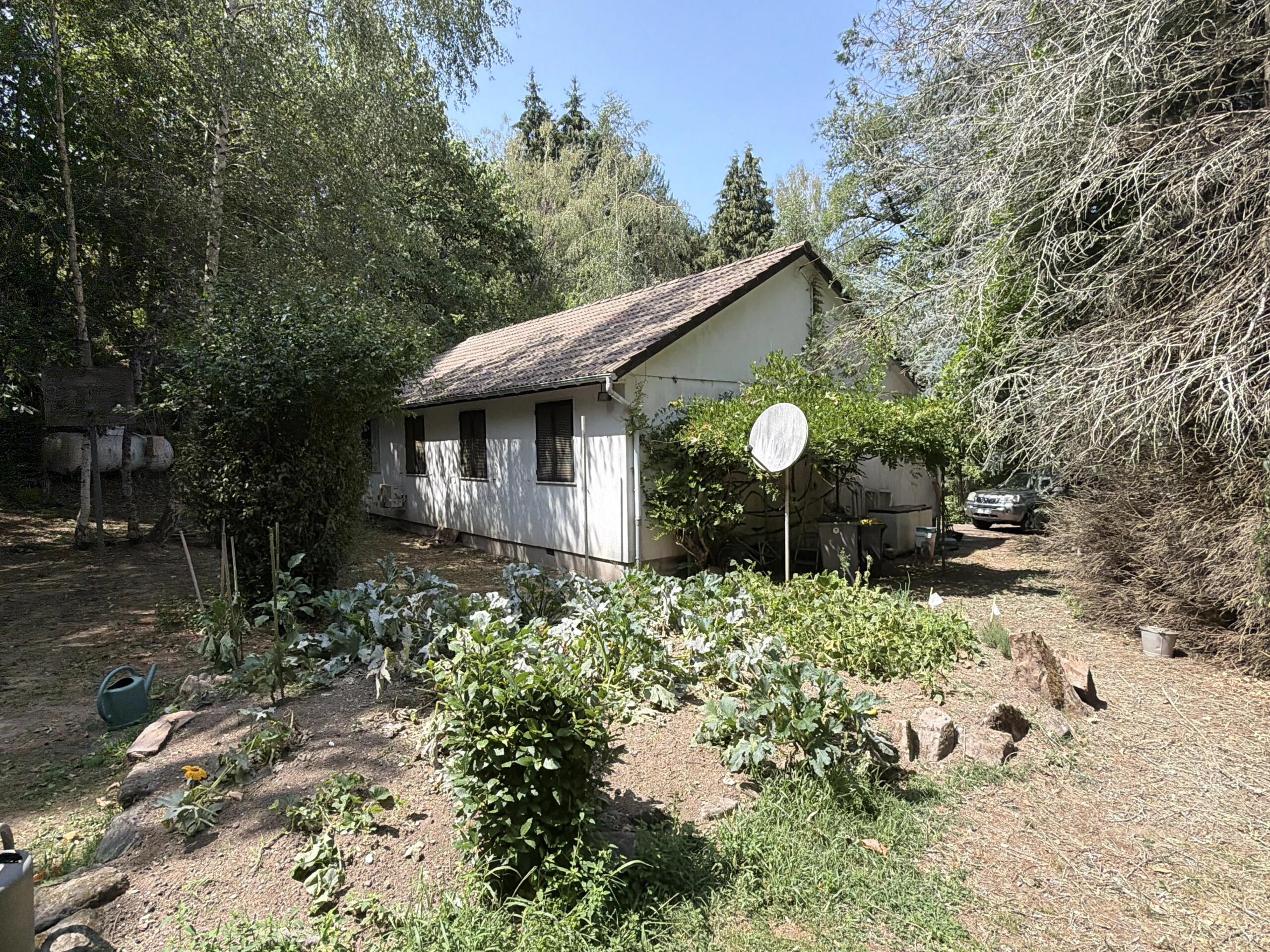 Detached bungalow alongside the stream in its own serene woodland location, Limousin – France – BVI86714