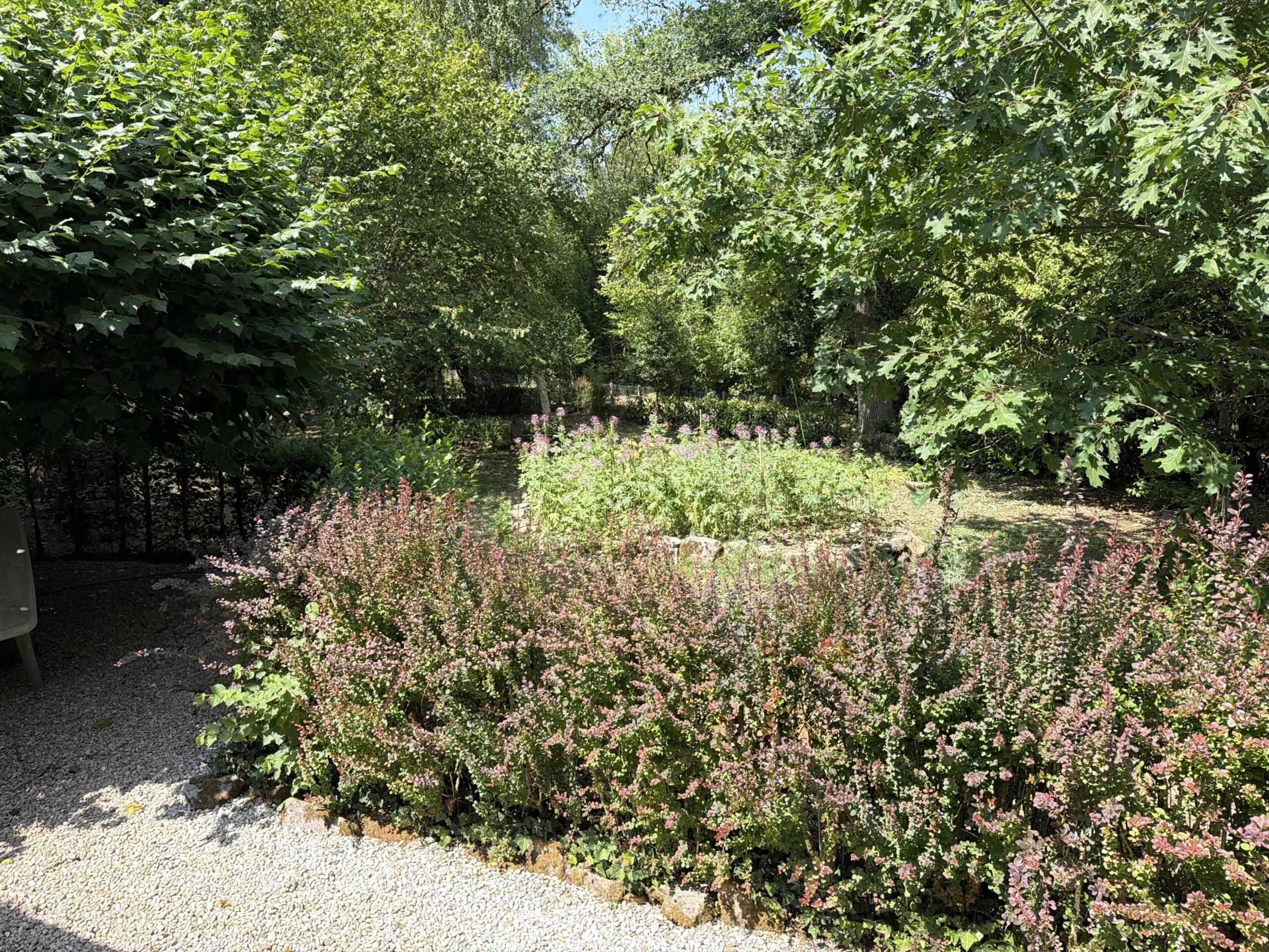 Detached bungalow alongside the stream in its own serene woodland location, Limousin – France – BVI86714