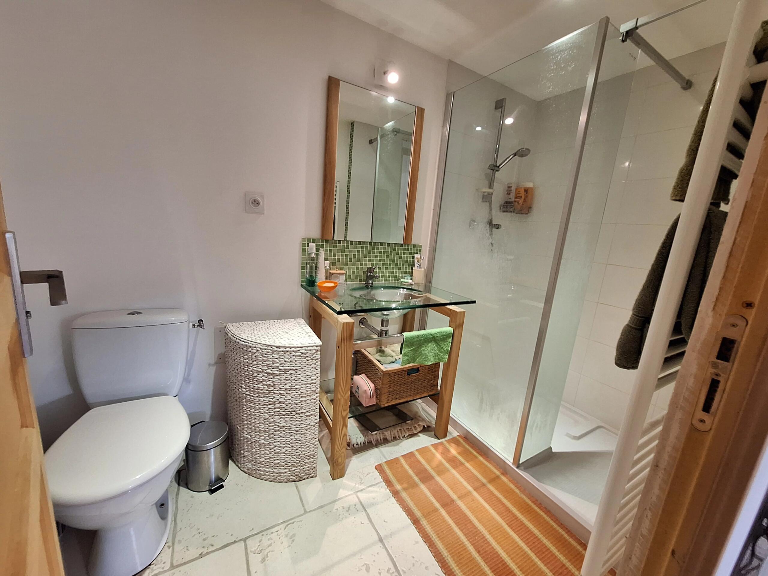 Delightful character property in a quiet hamlet, Poitou-Charentes – France – BVI85784
