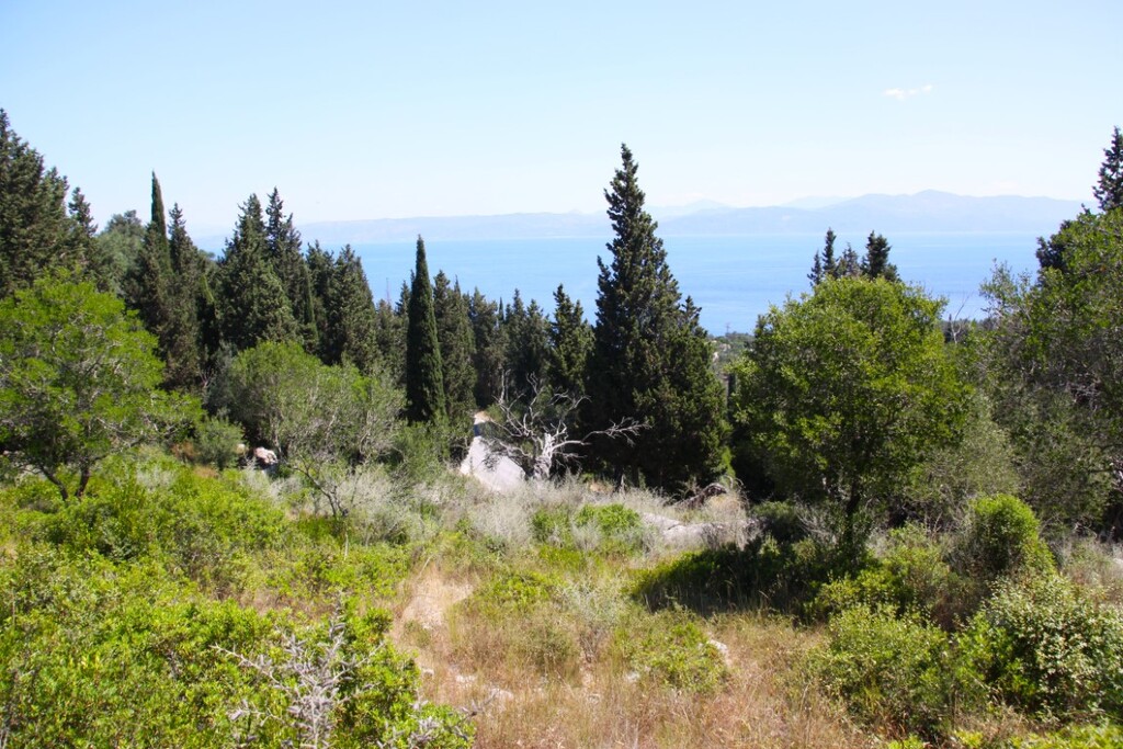 Land in Paxoi, Corfu Prefecture, Greece – 66671