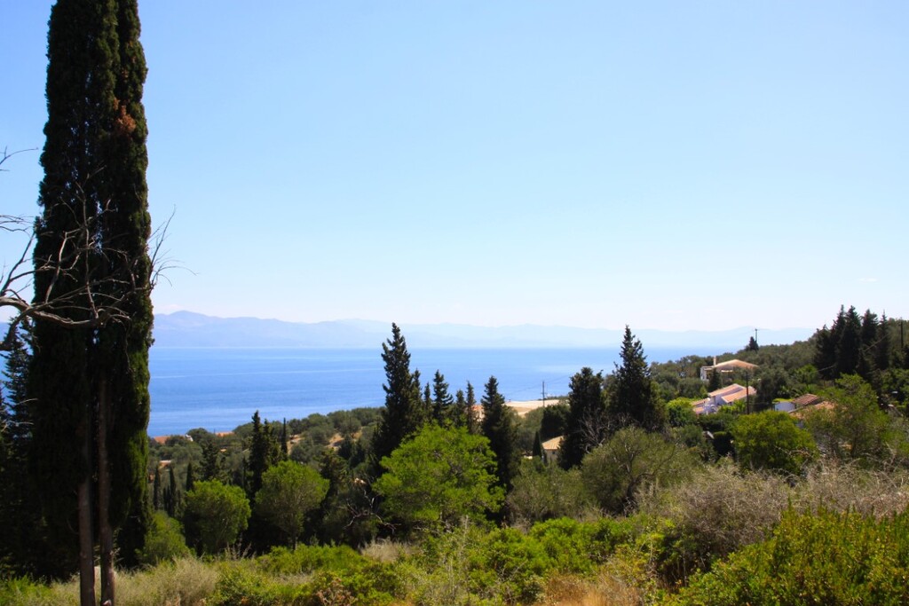 Land in Paxoi, Corfu Prefecture, Greece – 66671