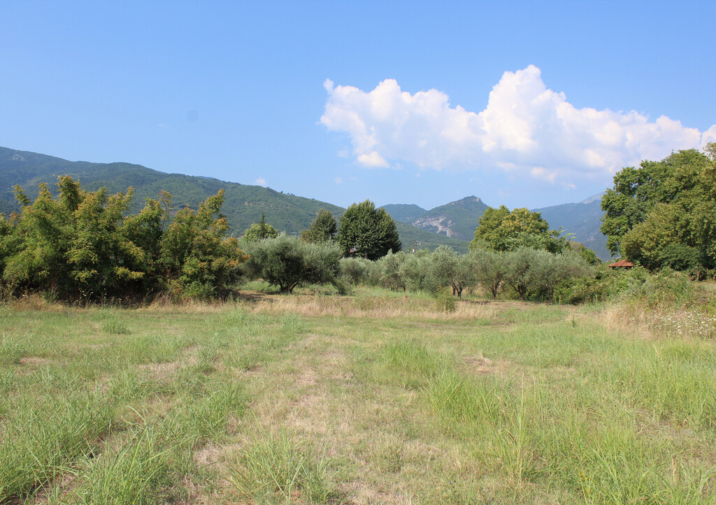 Land in Easts Olimpos, Pieria Prefecture, Greece – 66668