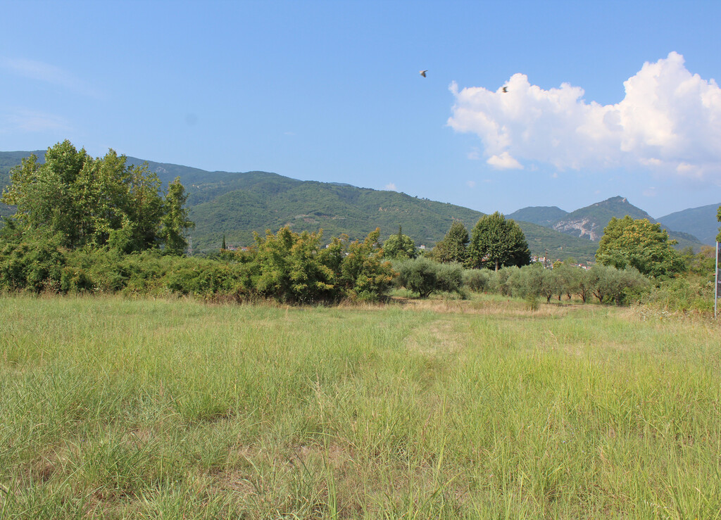 Land in Easts Olimpos, Pieria Prefecture, Greece – 66668