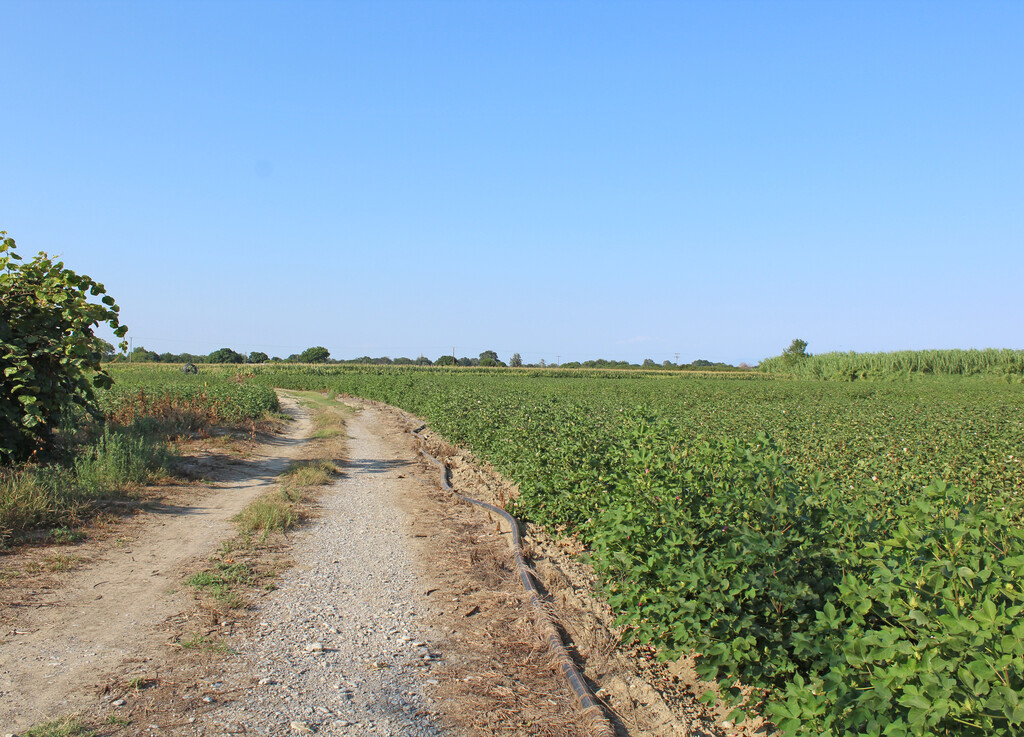 Land in Paralia, Pieria Prefecture, Greece – 66659