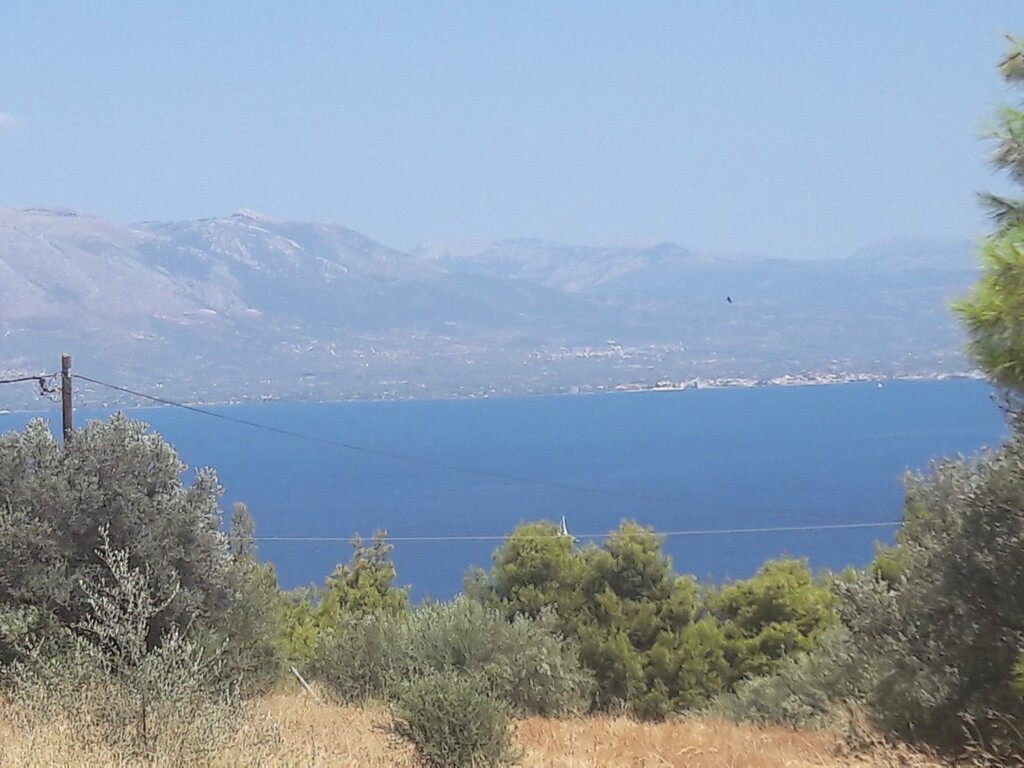 Land in Kalamos, Rest Of Attica, Greece – 50144
