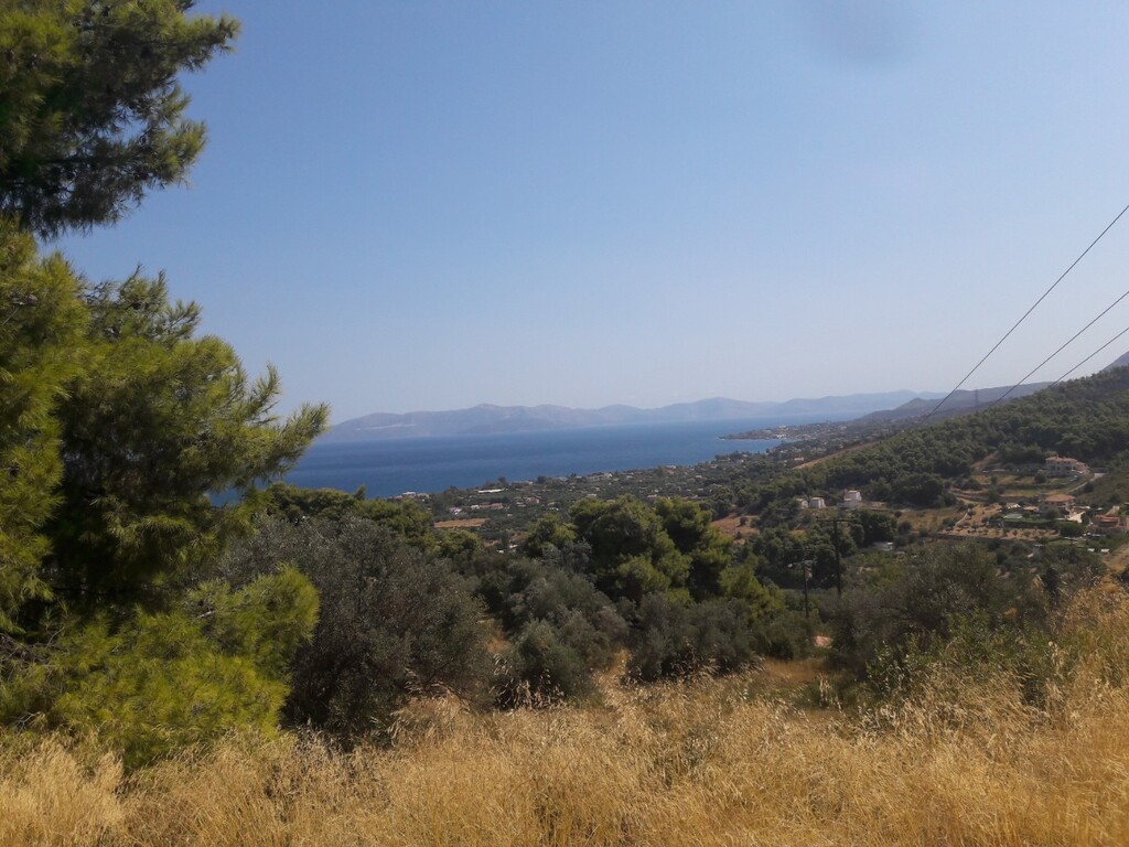 Land in Kalamos, Rest Of Attica, Greece – 50144