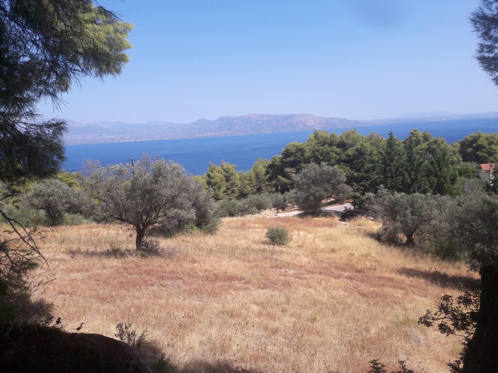 Land in Kalamos, Rest Of Attica, Greece – 50144