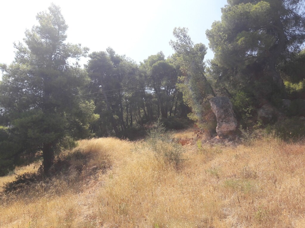 Land in Kalamos, Rest Of Attica, Greece – 50144