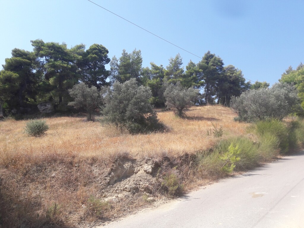Land in Kalamos, Rest Of Attica, Greece – 50144