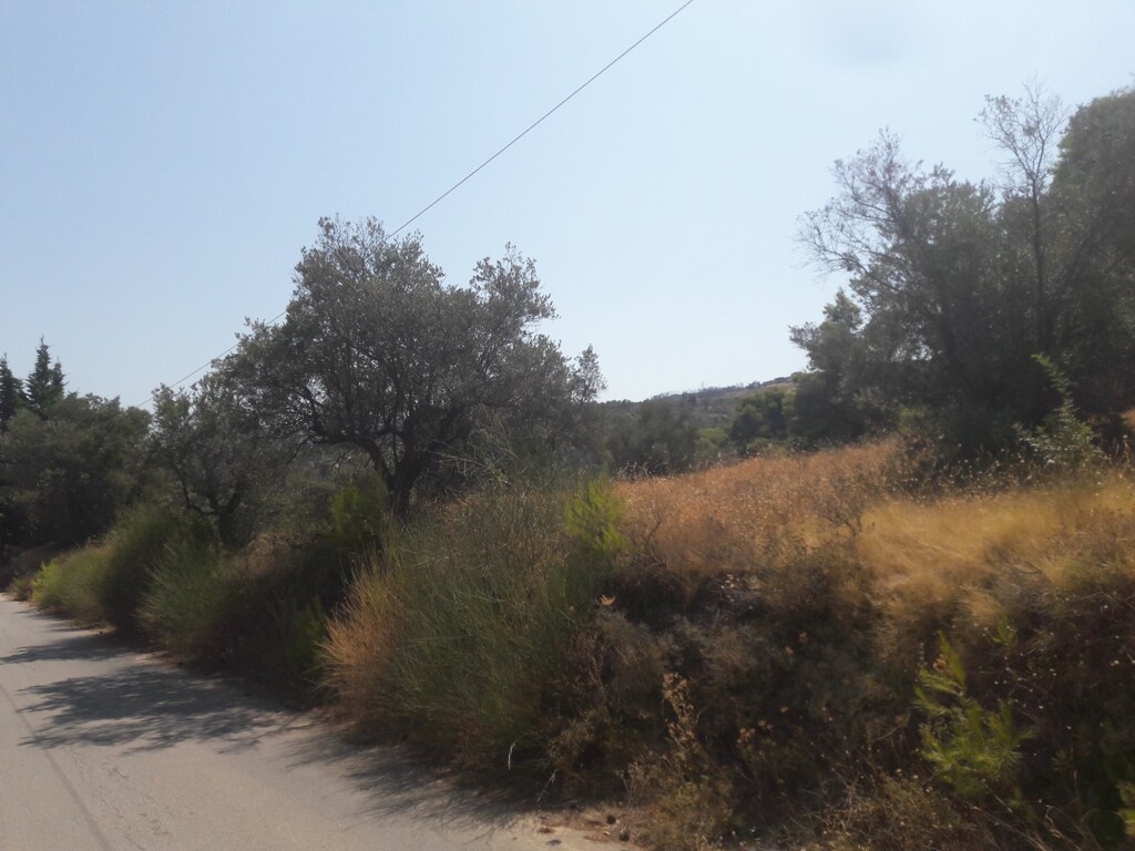 Land in Kalamos, Rest Of Attica, Greece – 50144