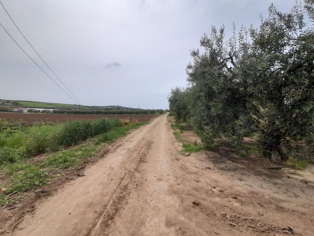 Land in Nea Propontida, Chalkidiki, Greece – 50142