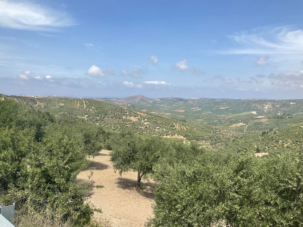 Land in Archanes, Heraklion Prefecture, Greece – 50127