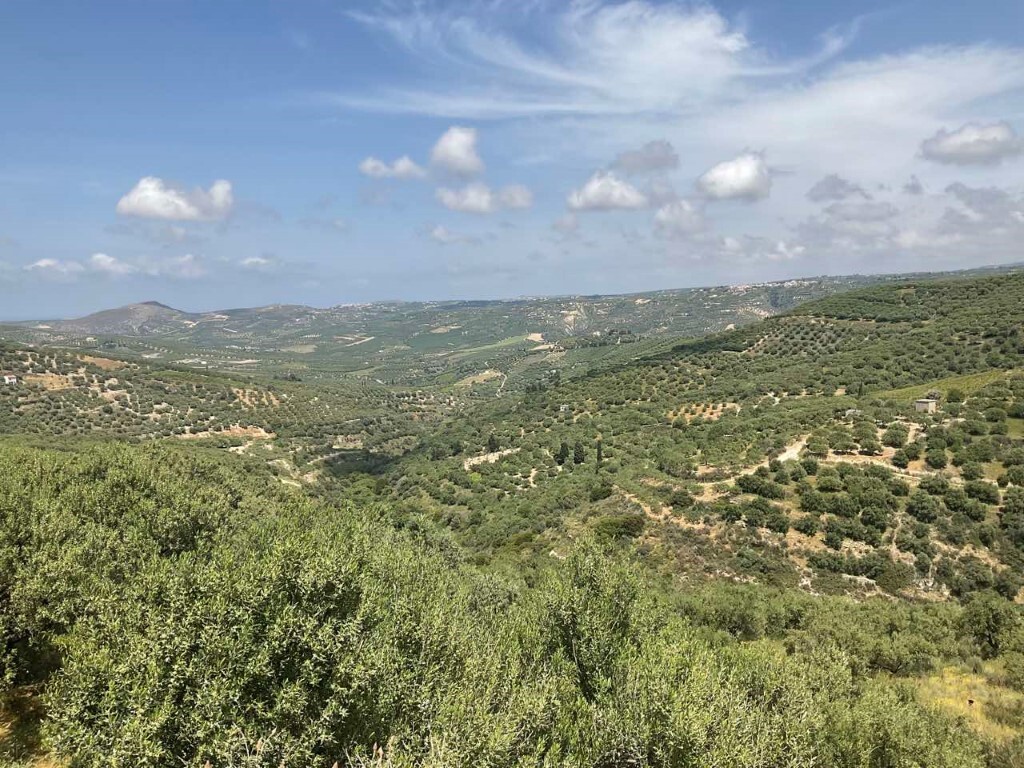 Land in Archanes, Heraklion Prefecture, Greece – 50127