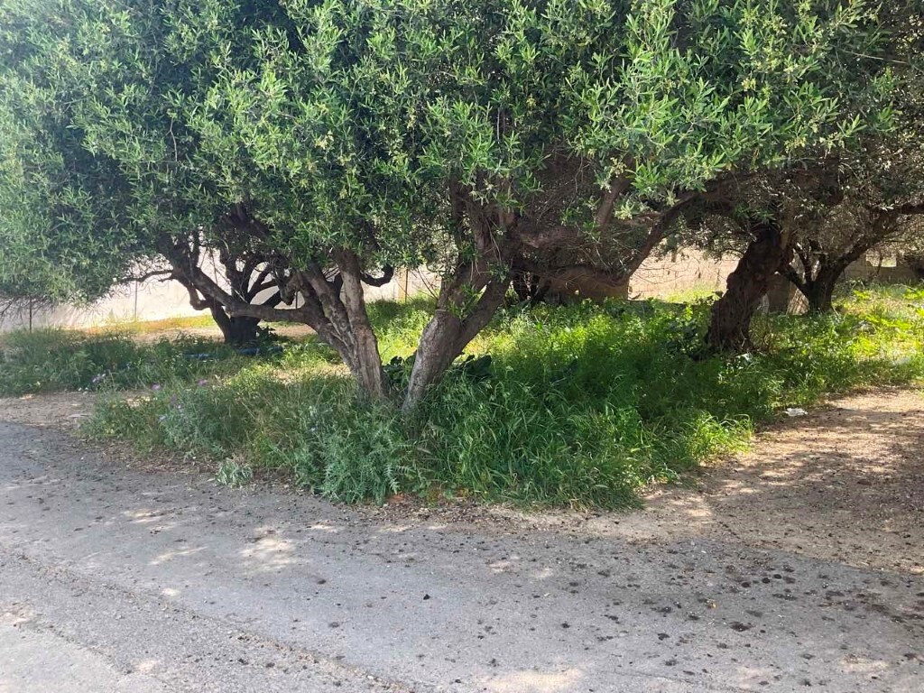 Land in Crete, Heraklion Prefecture, Greece – 50105