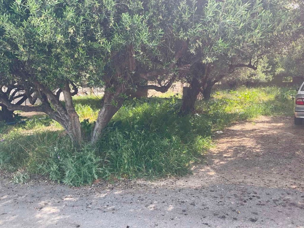 Land in Crete, Heraklion Prefecture, Greece – 50105