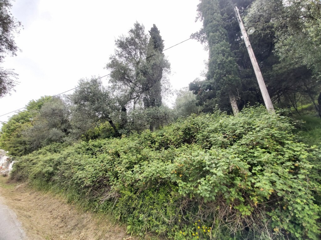 Land in Corfu, Corfu Prefecture, Greece – 50096