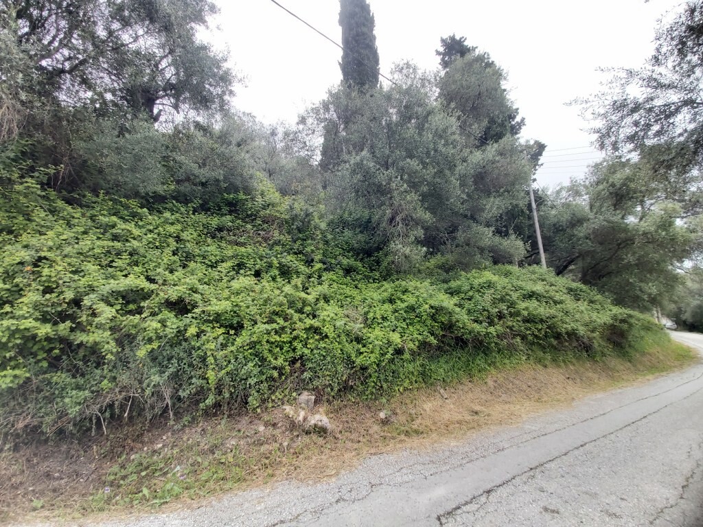 Land in Corfu, Corfu Prefecture, Greece – 50096