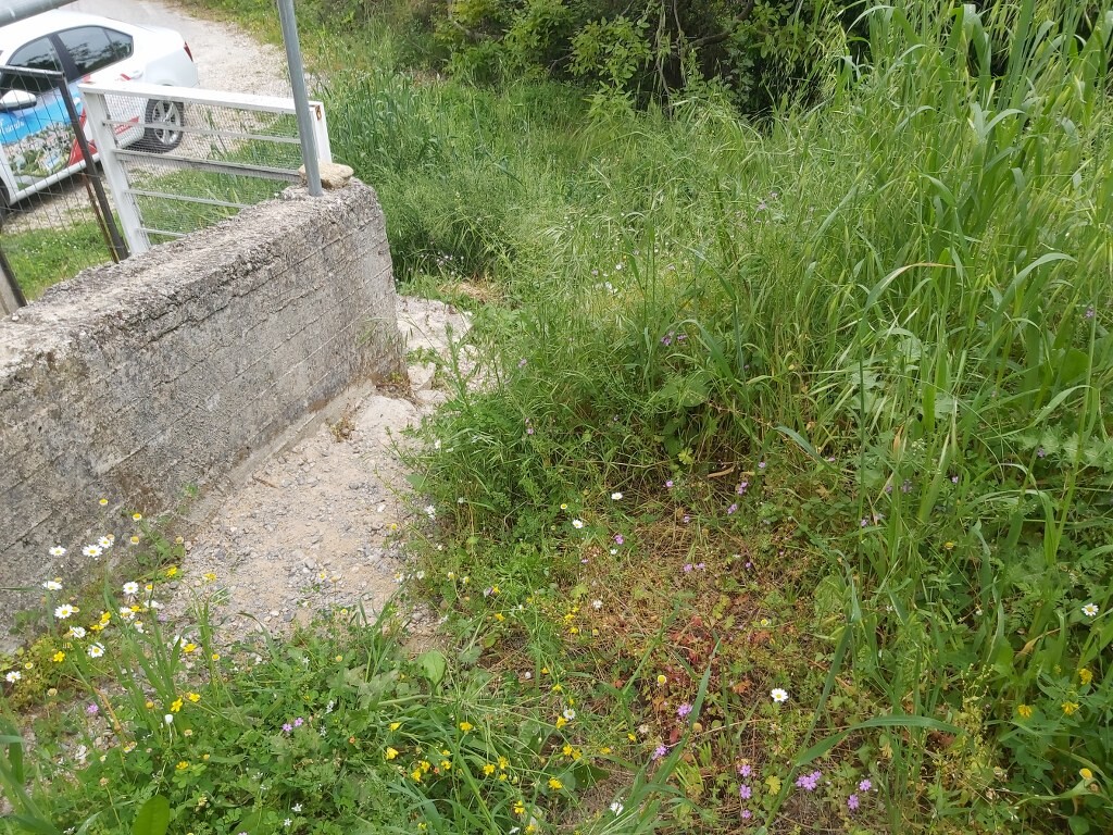 Land in Corfu, Corfu Prefecture, Greece – 50094