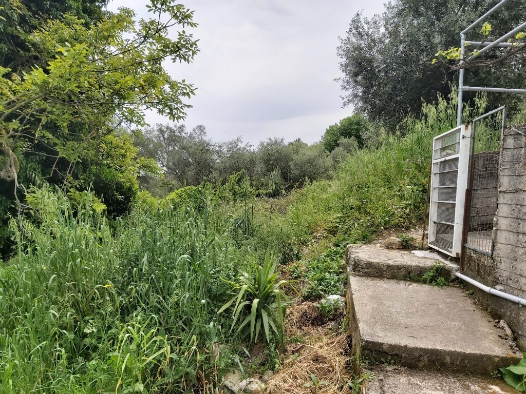 Land in Corfu, Corfu Prefecture, Greece – 50094