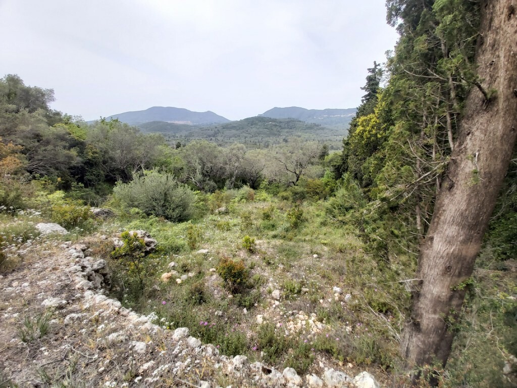 Land in Corfu, Corfu Prefecture, Greece – 50093