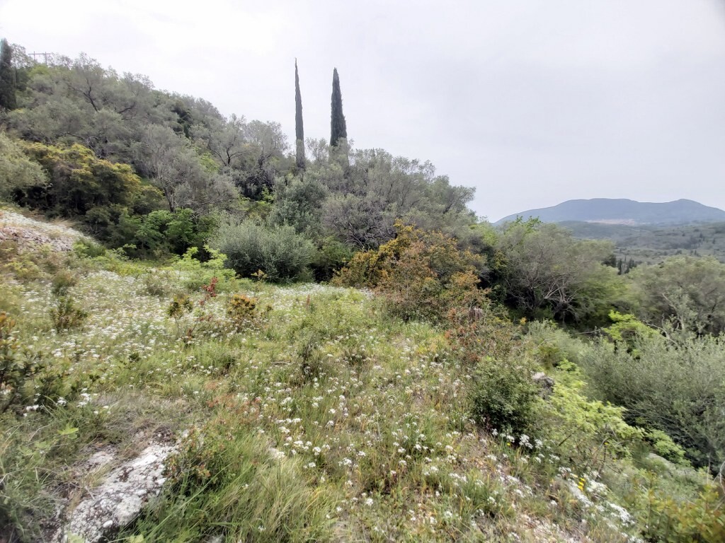 Land in Corfu, Corfu Prefecture, Greece – 50093