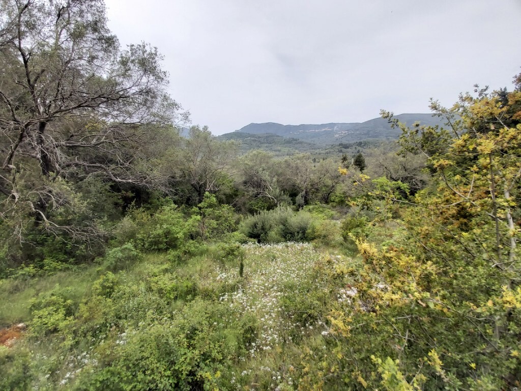 Land in Corfu, Corfu Prefecture, Greece – 50093