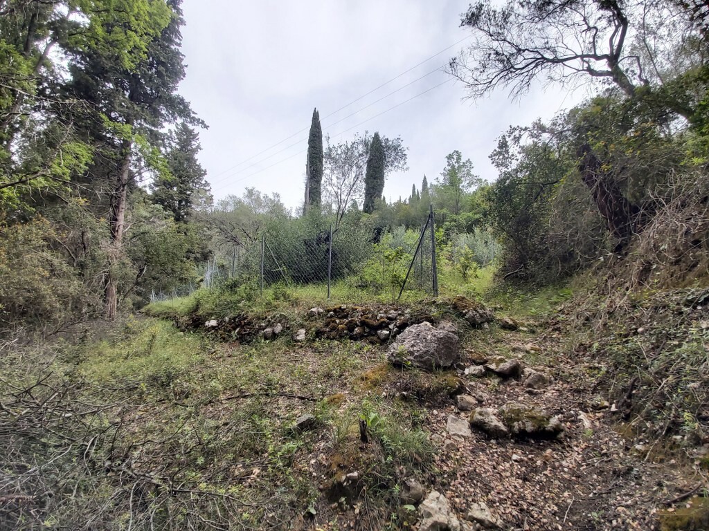 Land in Corfu, Corfu Prefecture, Greece – 50092