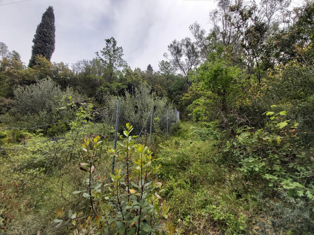 Land in Corfu, Corfu Prefecture, Greece – 50092