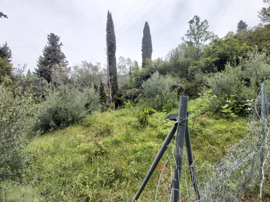Land in Corfu, Corfu Prefecture, Greece – 50092