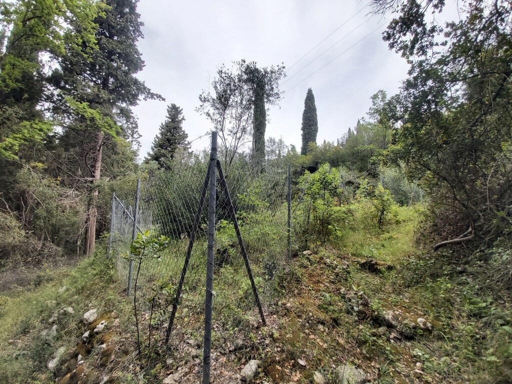 Land in Corfu, Corfu Prefecture, Greece – 50092
