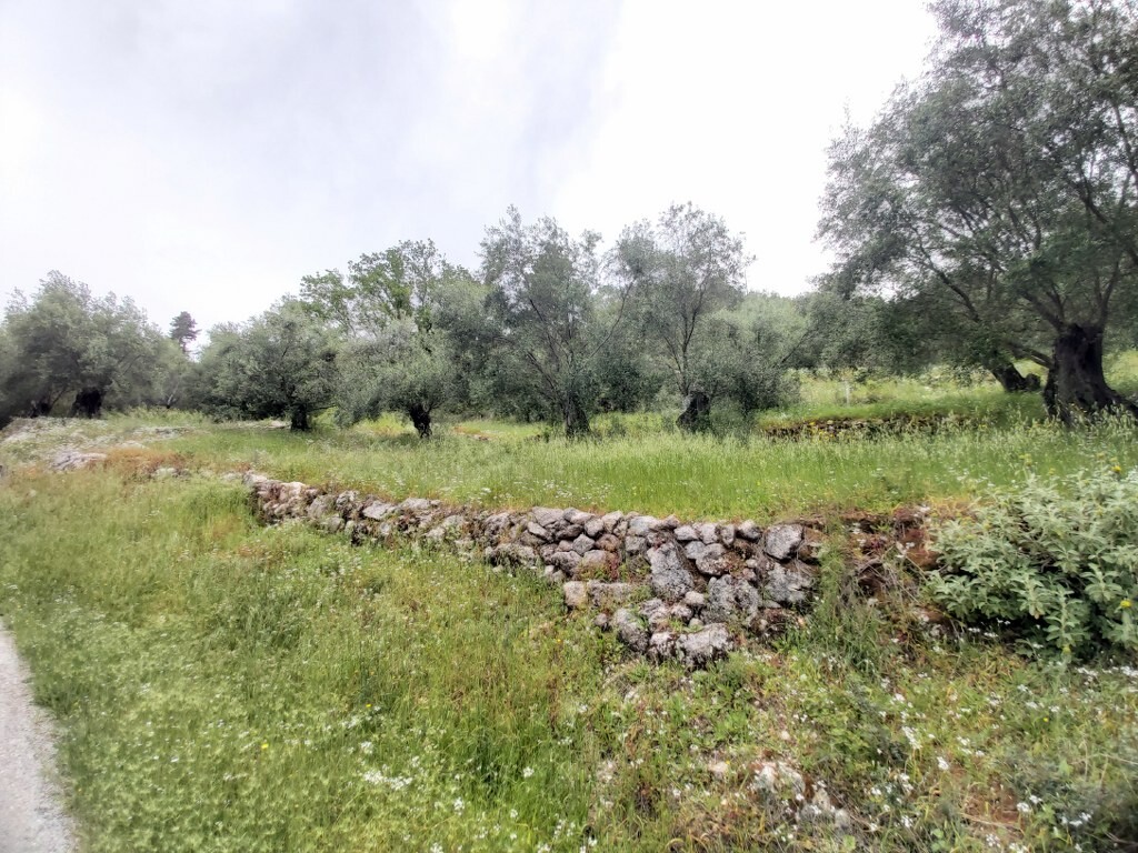 Land in Corfu, Corfu Prefecture, Greece – 50090