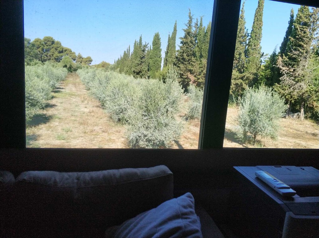 Land in Zacharo, Ilia, Greece – 50081