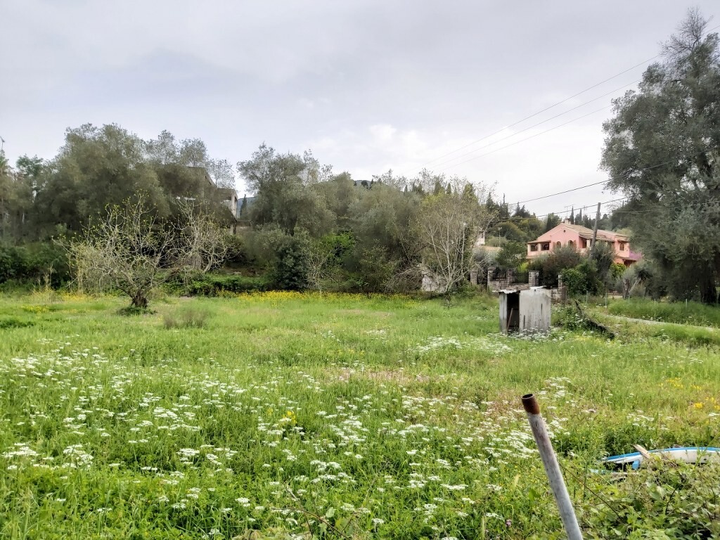 Land in Corfu, Corfu Prefecture, Greece – 50065