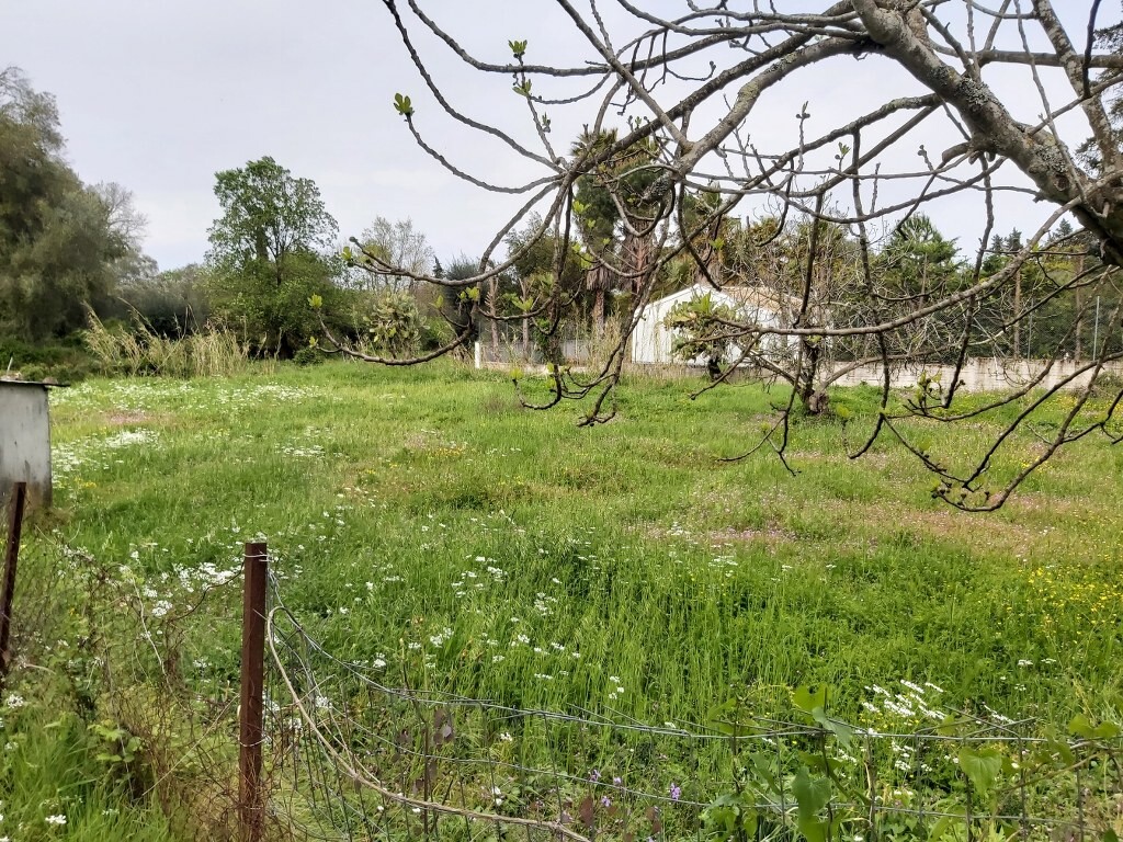 Land in Corfu, Corfu Prefecture, Greece – 50065