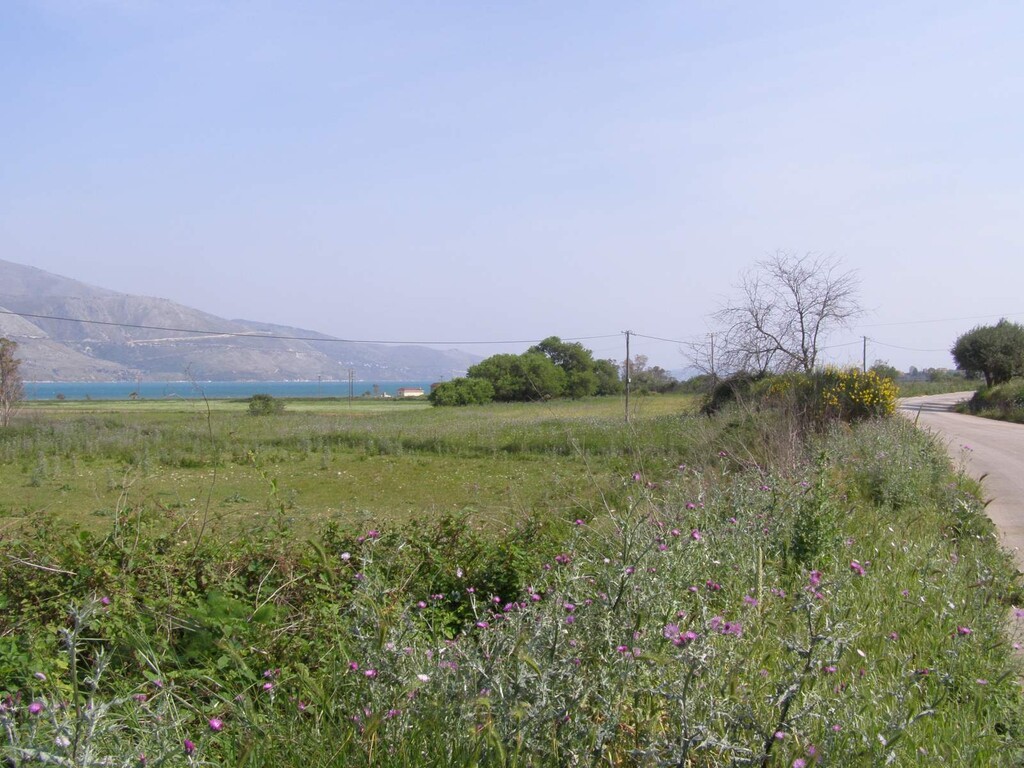 Land in Sipiada, Magnesia, Greece – 50062