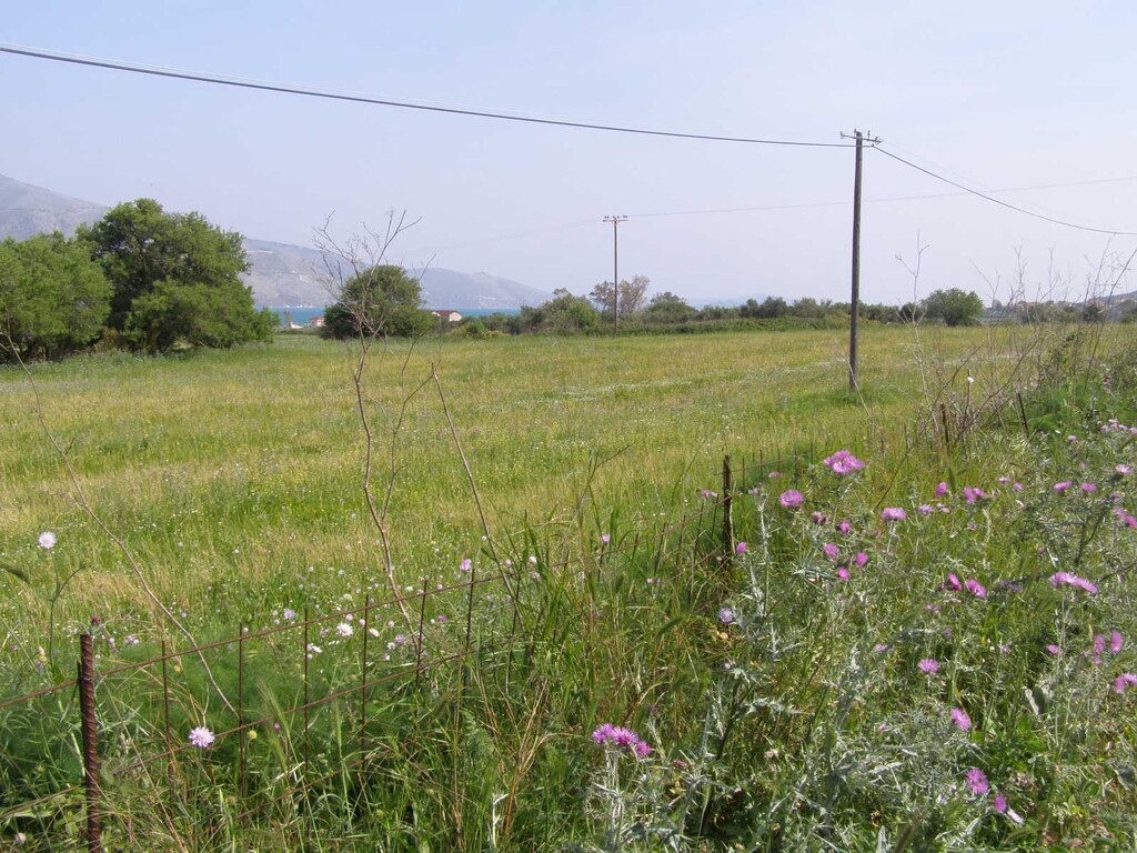 Land in Sipiada, Magnesia, Greece – 50062