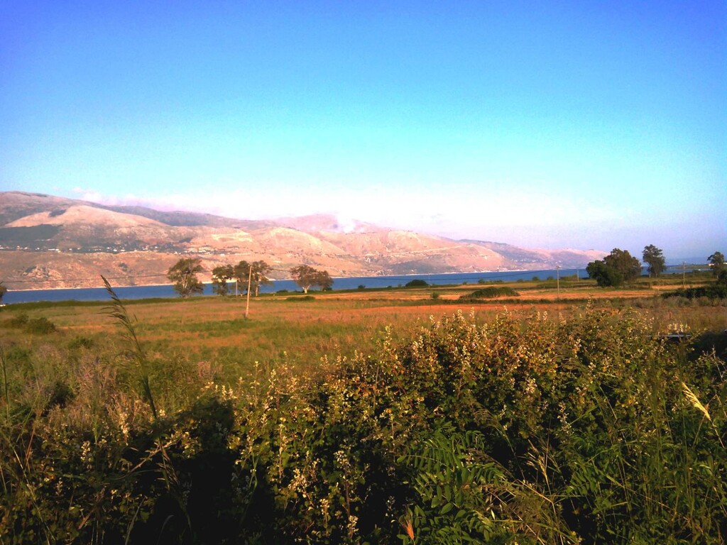 Land in Sipiada, Magnesia, Greece – 50059