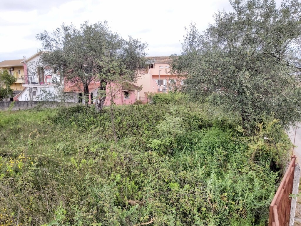 Land in Corfu, Corfu Prefecture, Greece – 50053