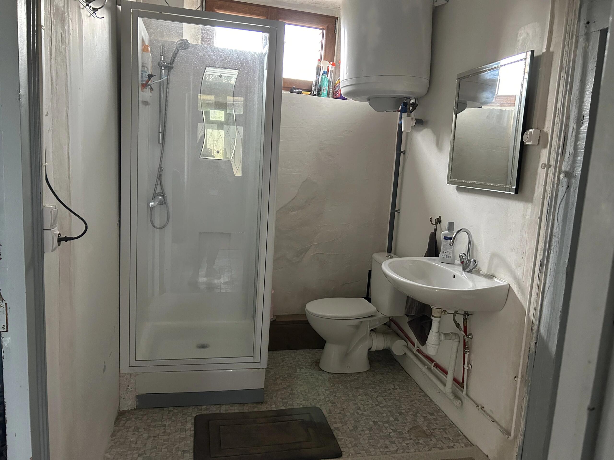 Two houses and large barn in quiet hamlet, Centre – France – BVI86745