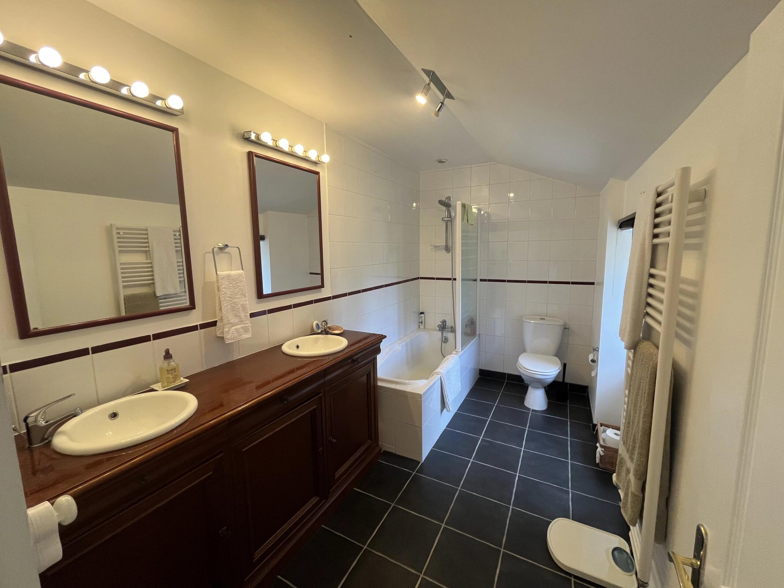 Stunning 2 bed dwelling with a large barn and separate cottage to renovate, Poitou-Charentes – France – BVI86306