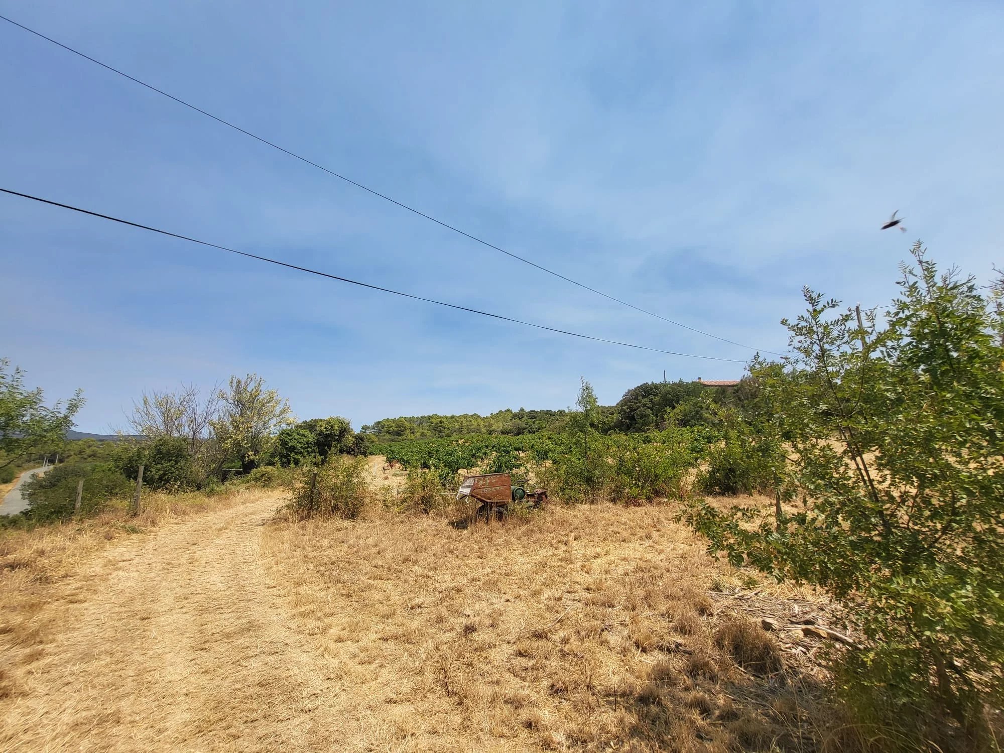 1,071 m² building lot – Exceptional view –, Languedoc-Roussillon – France – BVI86161