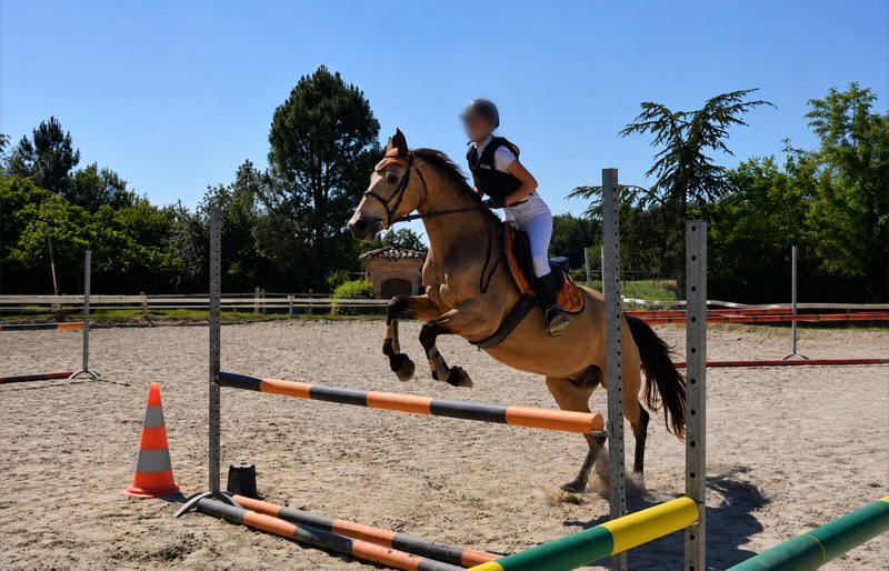 7 bedroom centre equestre in Beaumont Sur Leze, Haute-Garonne, France