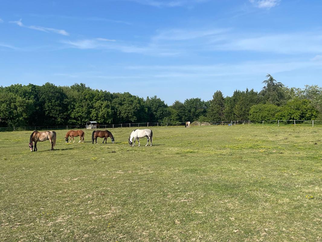 7 bedroom centre equestre in Beaumont Sur Leze, Haute-Garonne, France