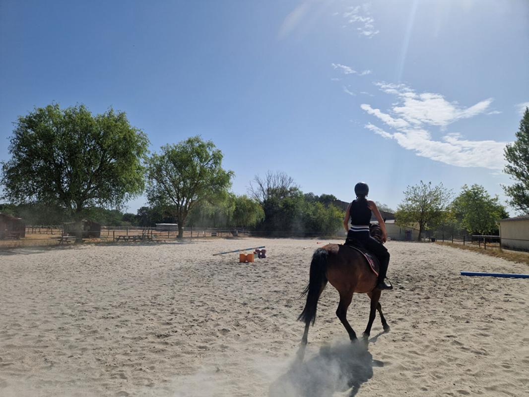 7 bedroom centre equestre in Beaumont Sur Leze, Haute-Garonne, France
