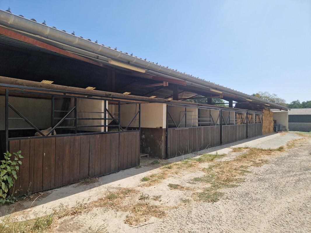 7 bedroom centre equestre in Beaumont Sur Leze, Haute-Garonne, France