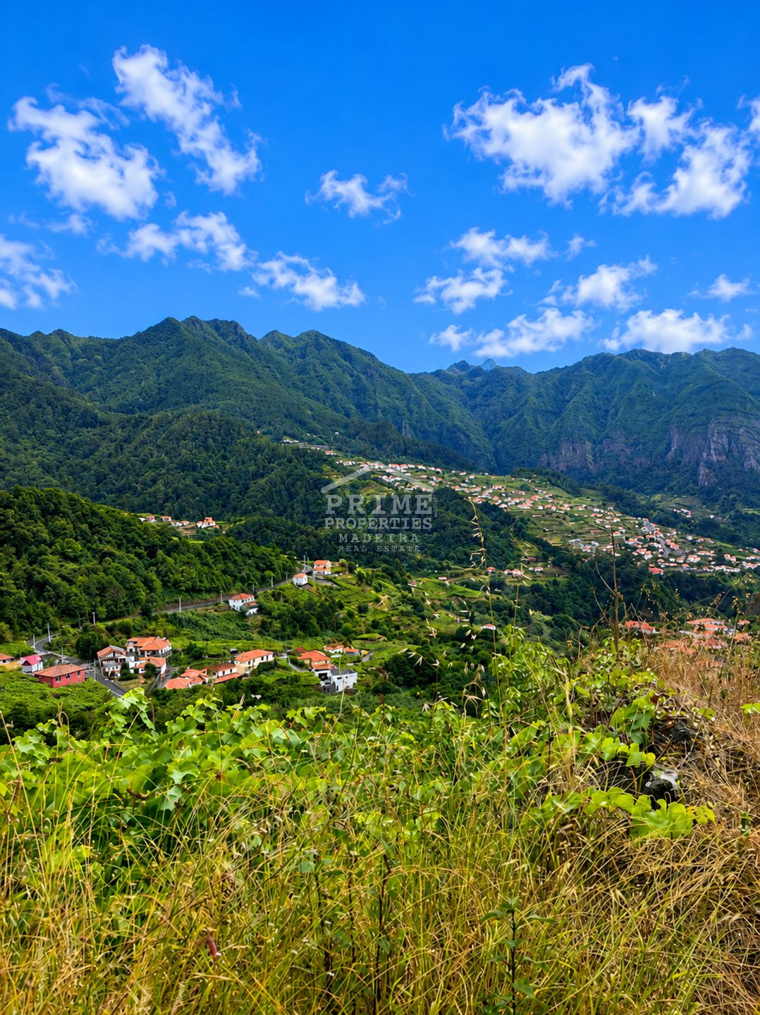 Land in Ponta Delgada, Ilha Da Madeira, Portugal – #1496