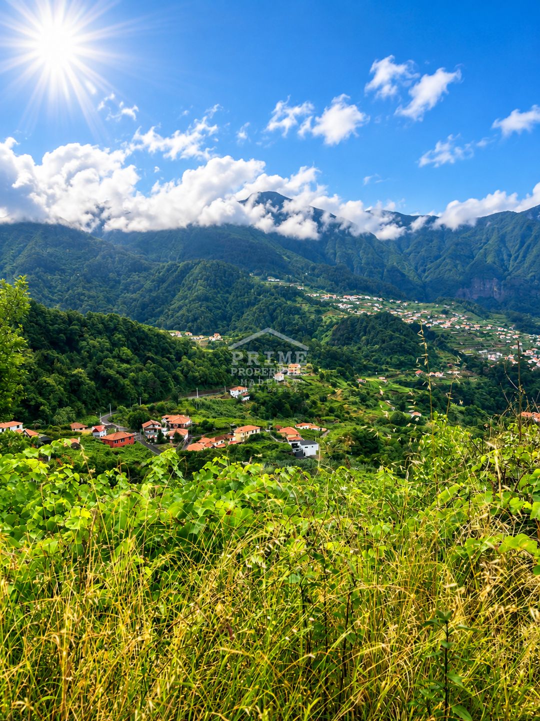 Land in Ponta Delgada, Ilha Da Madeira, Portugal – #1496